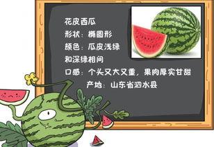吃瓜事故小说免费阅读 第1张 吃瓜事故小说免费阅读 第1张