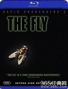 变蝇人在线观看,穿越时空的惊悚之旅  第3张